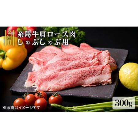 ふるさと納税 美味しさ満載！贅沢お肉の定期便全5回（月1回） 3人家族用 (福岡 糸島産 牛肉 豚肉 鶏肉 ステーキ しゃぶしゃぶ すき焼き ヒレ シ.. 福岡県糸島市