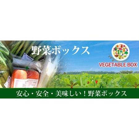 ふるさと納税 20-05阿見町産野菜ボックス（7〜8品） 茨城県阿見町