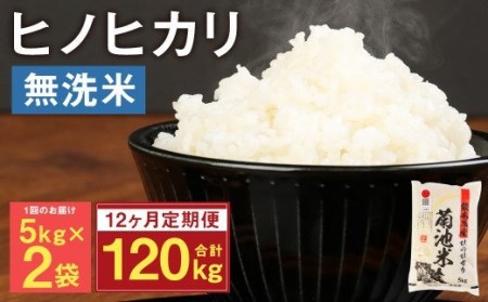 熊本県菊池産 ヒノヒカリ 無洗米 計120kg（5kg×2袋×12回）精米 お米 白米