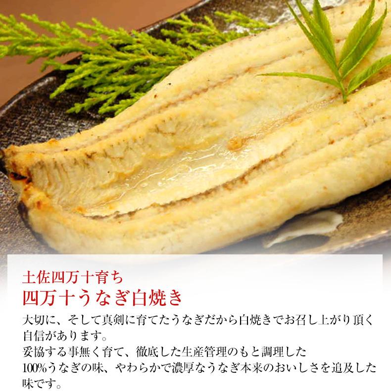 うなぎ 四万十うなぎ白焼き 約120g 国産最高級 グルメ プレゼント お歳暮 2023 ギフト