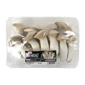 雪国えりんぎ 500g Yukiguni Eryngi