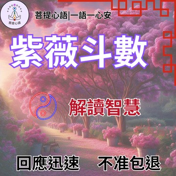 【不準包退 回復迅速】紫微斗數 線上算命 財運探索 雙人合盤  紫微 流年 紫微鬥數 算命 問事 八字 命理 解讀智慧😊