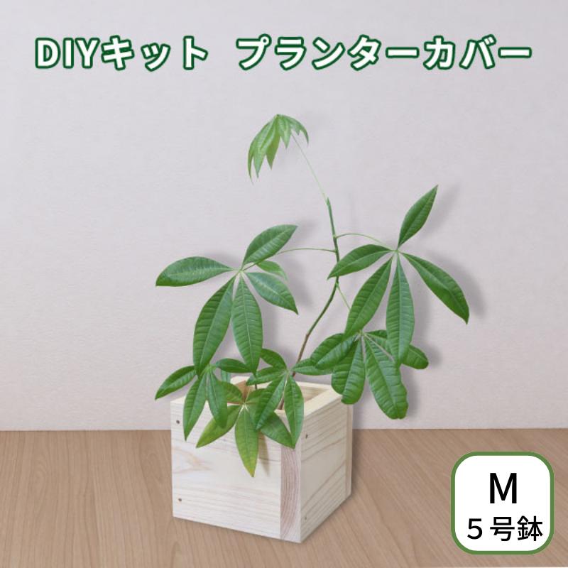 DIYキット プランターカバー 鉢カバー 木製 Mサイズ 5号 w21×d21cm ο