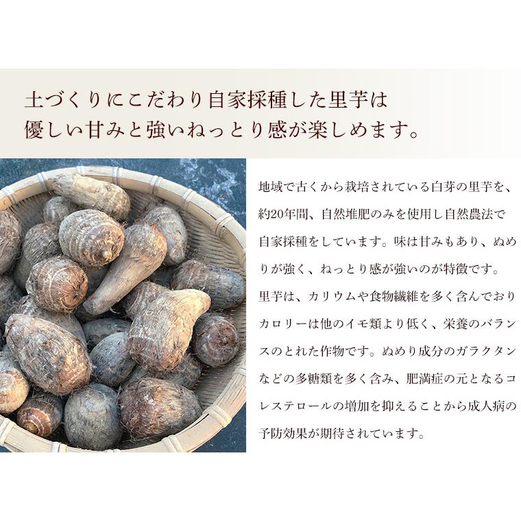 自然農法 土付き 里芋（さといも）２ｋｇ　鹿児島県産・栽培期間中農薬化学肥料不使用