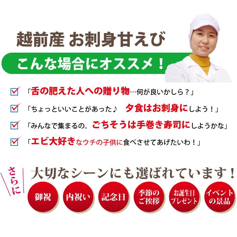 甘エビ 刺身 500g（250g×2) 30-50尾 甘えび 甘海老 あまえび 冷凍 子持ち 子無し サイズ不揃い 福井産 えび 海老 ((冷凍))