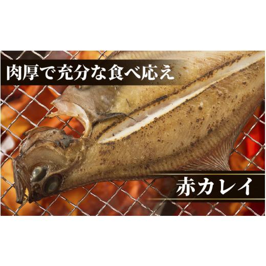 ふるさと納税 福井県 越前町 [e15-a001] 越前産 かれい 「一夜干しカレイ3種セット（合計6〜9尾）」