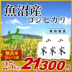 お米 25kg 無洗米 魚沼産コシヒカリ (5kg×5袋) 令和5年産 新米   米 最高級銘柄 新潟米 ブランド米 新潟 新潟県産 国内産 人気 おいしい