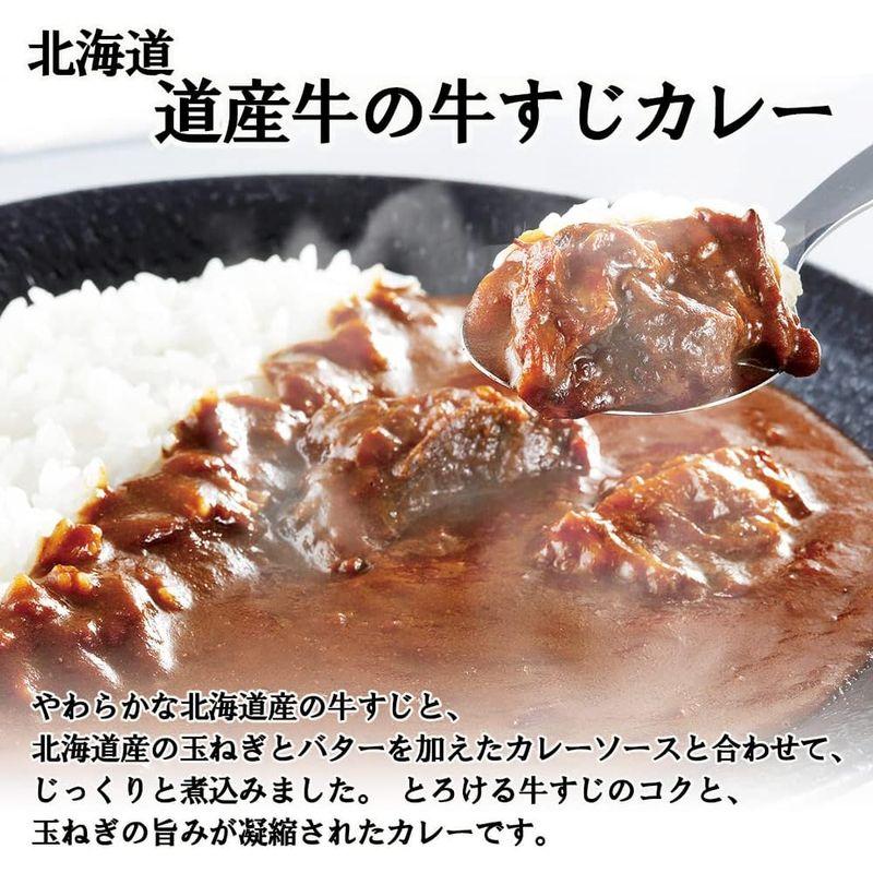 カレー レトルトカレー 北海道 道産牛の牛すじカレー 中辛 5箱 セット 北の料理人 斉藤正美監修 北国からの贈り物