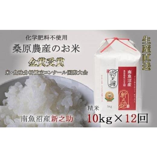 ふるさと納税 新潟県 南魚沼市 （新米予約）桑原農産のお米10kg×12カ月　南魚沼産新之助