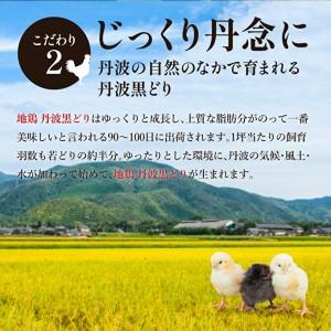 ふるさと納税 地鶏丹波黒どりと京都府産黒大豆のキーマカリー 6箱 鶏肉 レトルトカレー 6人前 黒豆 常温 キーマカレー ご当地 丹波山本 チキン 兵庫県加西市