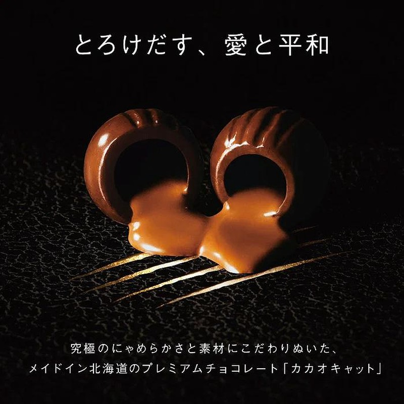 I LOVE CACAOCAT ミックス6個入り HUG缶 北海道 DADACA お土産