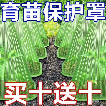 🌸臺灣48H出🌸小樹苗保護可重複方形植物大棚鍾罩免受鳥類傷害霜凍其他園藝用品 保護植物 蝸牛傷害綠色 防蟲罩