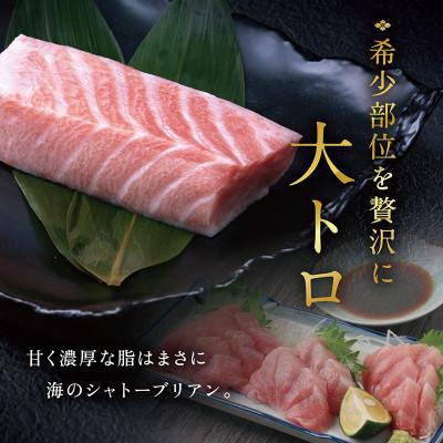 ふるさと納税 越前市 本まぐろ 大トロ 250g(柵どり)