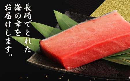 長崎県産 本マグロ「中トロ」約700g  生食用