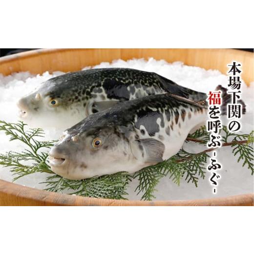 ふるさと納税 山口県 下関市 ふぐ 漬け丼 魚 海鮮丼 お茶漬け たたき 3人前 下関 山口 