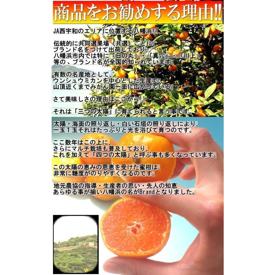 産地直送 西宇和の雫 温州みかん 約10kg ２S〜２Lサイズ混合 愛媛県産 訳あり品 個人農家産 本場で育てた家庭用蜜柑！こだわりのマルチシート栽培