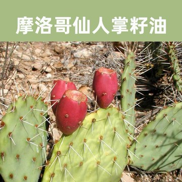 樸實無華🌱 【護髮油】乾燥.染髮.損髮 染髮毛躁受損.天然護髮油.仙人掌油.摩洛哥油.埃及精油.成份天然無化學添加