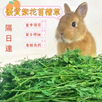 【隔日達】優質烘乾紫花苜蓿草兔子紫花苜蓿草葉子