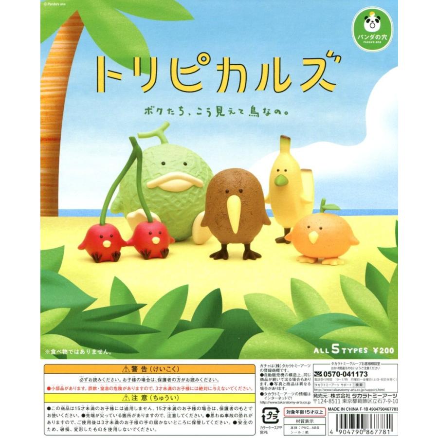 パンダドラゴン あづ ハピカ もちもち ④ パンダドラゴン あづ あづき ハピカ
