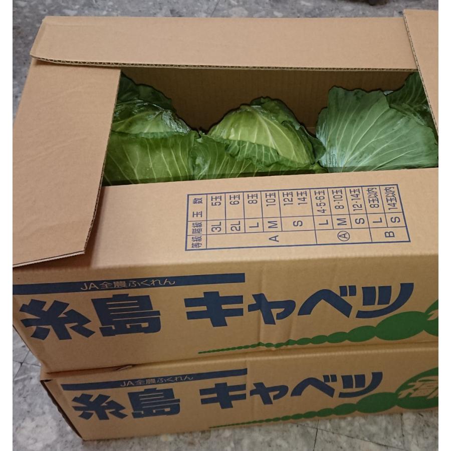 冷凍・男餃子（16ヶ入り×４、たれ付き）　ニンニクがっつり　男はスタミナ！