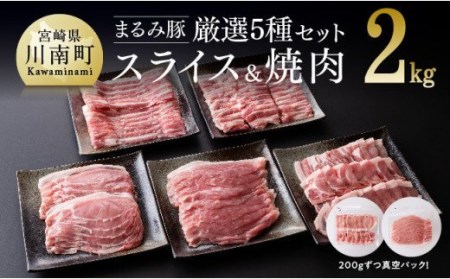 《真空パック》宮崎ブランド豚肉『まるみ豚』厳選！ 精肉５種セット 宮崎県産  国産豚肉 豚 ブランドポーク 豚 豚肉詰め合わせ 豚