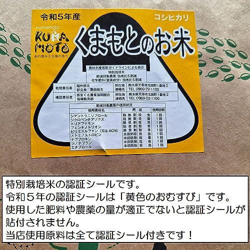 新米 令和5年 熊本県 天草地方産 こしひかり 特別栽培米 玄米 5kg