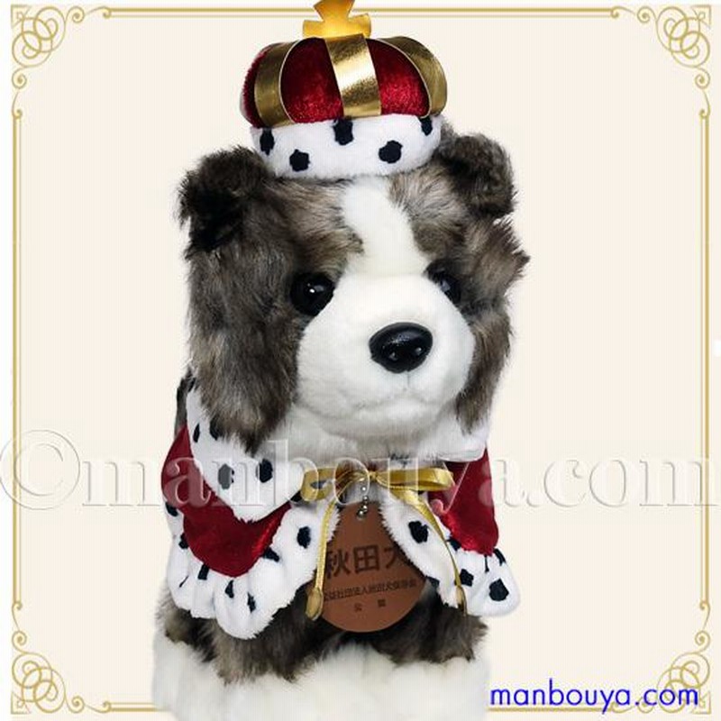 秋田犬 ぬいぐるみ 服 セット 動物 人形 キュート販売 CUTE あき