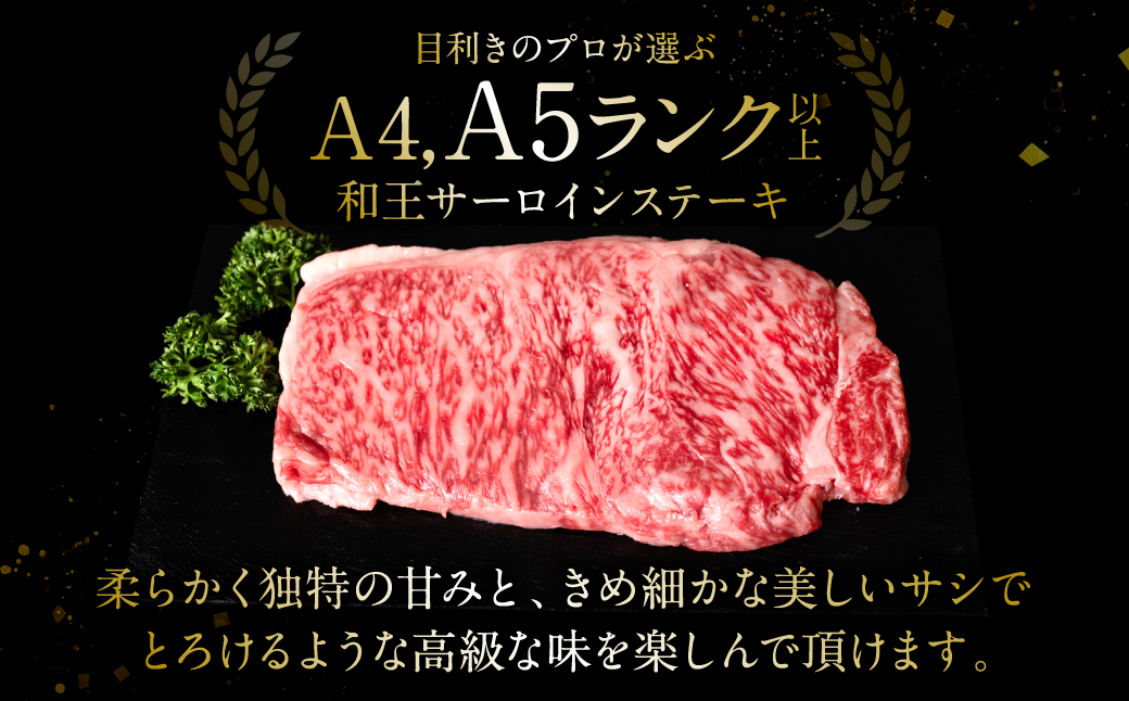 極和王シリーズ くまもと黒毛和牛 サーロインステーキ 330g 熊本県産 牛肉