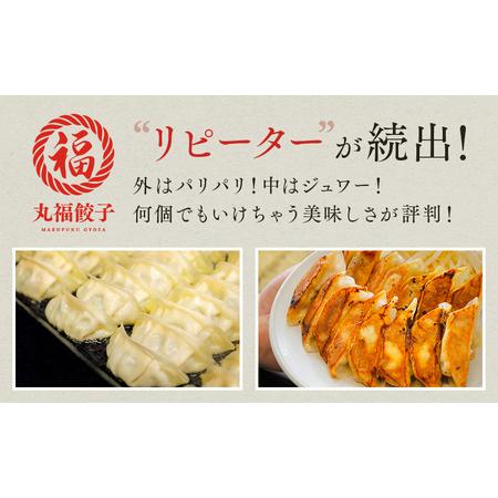 ふるさと納税 餃子 リピーター続出！ 遠州名物 丸福の餃子 タレ付き ぎょうざ ギョーザ ギョウザ 惣菜 おかず 中華 点心 加工食品 冷凍 静岡 静岡県袋井市