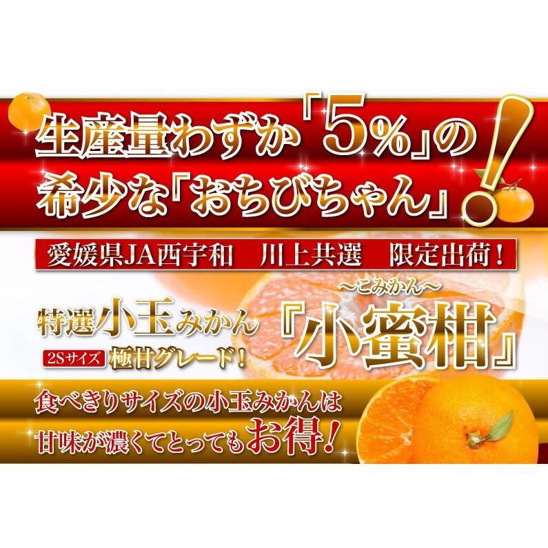 ポイント5倍 みかん 送料無料 訳あり 5kg 愛媛 家庭用 早生 JAにしうわ 川上共選 天皇杯受賞 川上小玉 小蜜柑 2Sサイズ 果物 フルーツ 産地直送 J常