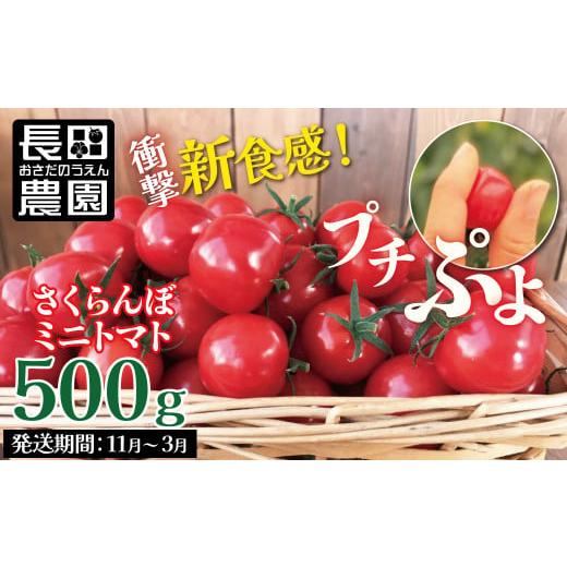 ふるさと納税 愛知県 碧南市 衝撃の一粒!!奇跡のさくらんぼミニトマト(プチぷよ) 500g　H004-119