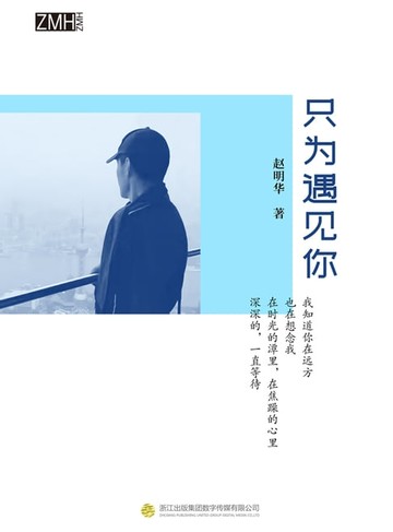 【電子書】只为遇见你