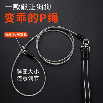 免運🌟臺灣出貨🌙p鏈p繩狗狗牽引繩遛狗鏈子小中大型犬專業訓犬防爆衝打結金毛寵物 狗鍊 訓練繩 寵物牽引繩 遛狗繩
