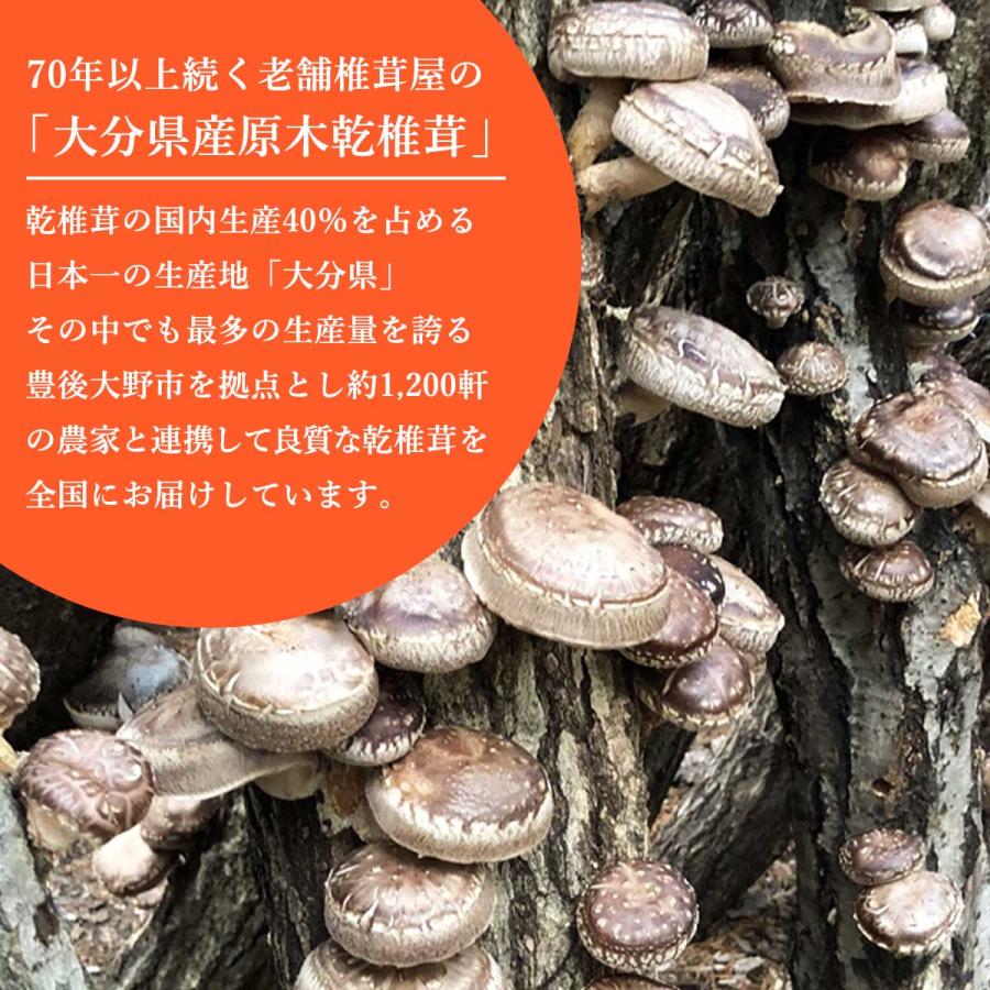 [茂里商店] レトルトカレー 大分県豊後大野カレー 180g しいたけ 乾しいたけ ご当地カレー 豊後 原木栽培 乾燥椎茸 しいたけ屋 大分県 本格カレー