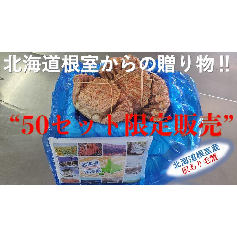 カニ　北海道根室産　堅蟹　活ボイル冷凍毛ガニ　総重量４００g〜５００g 尾　数量限定販売　送料無料