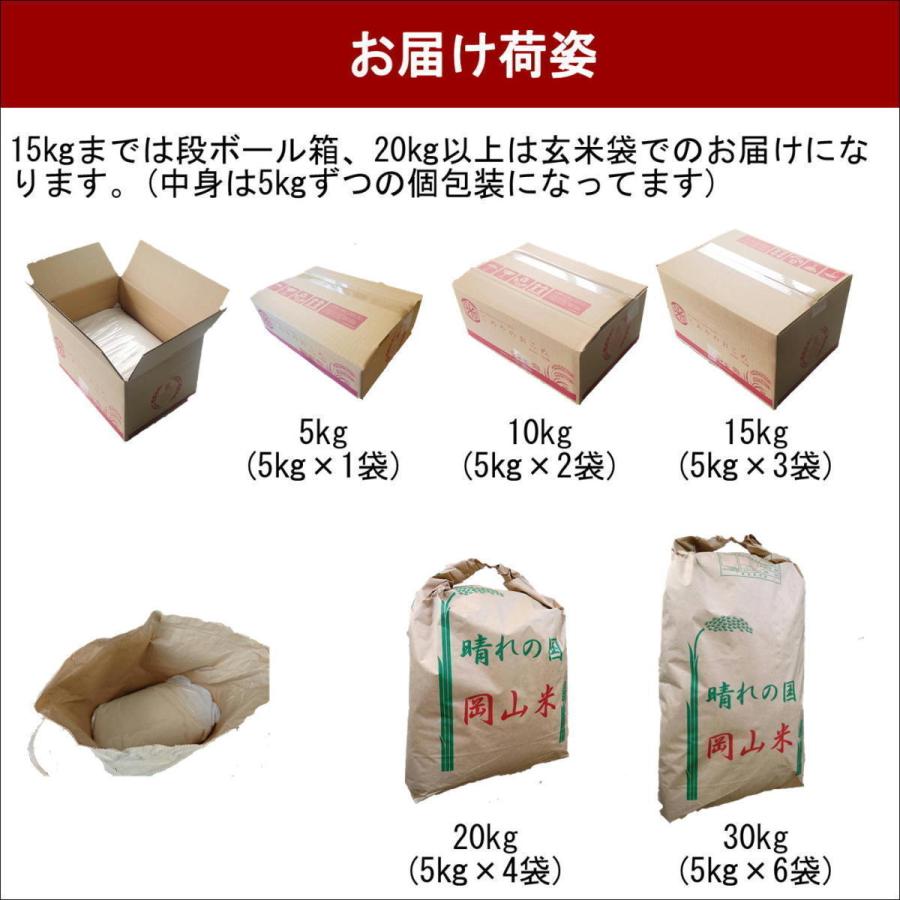 新米　令和５年産　高知県産　こしひかり　20kg(5kg×4袋)　米　お米　おこめ　白米　精米　