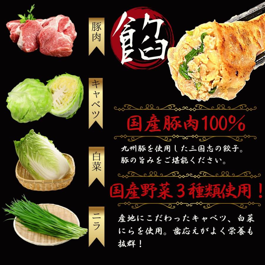 30％offクーポン配布中「生餃子48個入とにんにく餃子48個入り送料無料  大きいサイズ     工場直売 ぎょうざ ギョウザ ギョーザ ギフト業務用