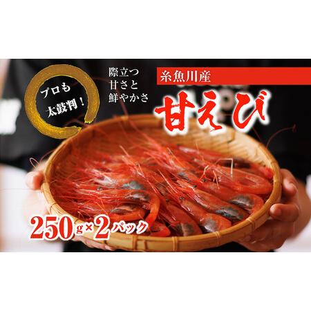 ふるさと納税 日本海直送鮮度抜群！糸魚川産『甘えび』250g×2パック  甘くとろける格別の味  際立つ甘さと鮮やかさ 新潟県糸魚川市