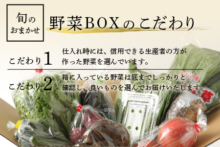 旬のおまかせ 野菜BOX 野菜定期便 旬の野菜 詰め合わせ 野菜 新鮮 野菜8～10品目 C-47