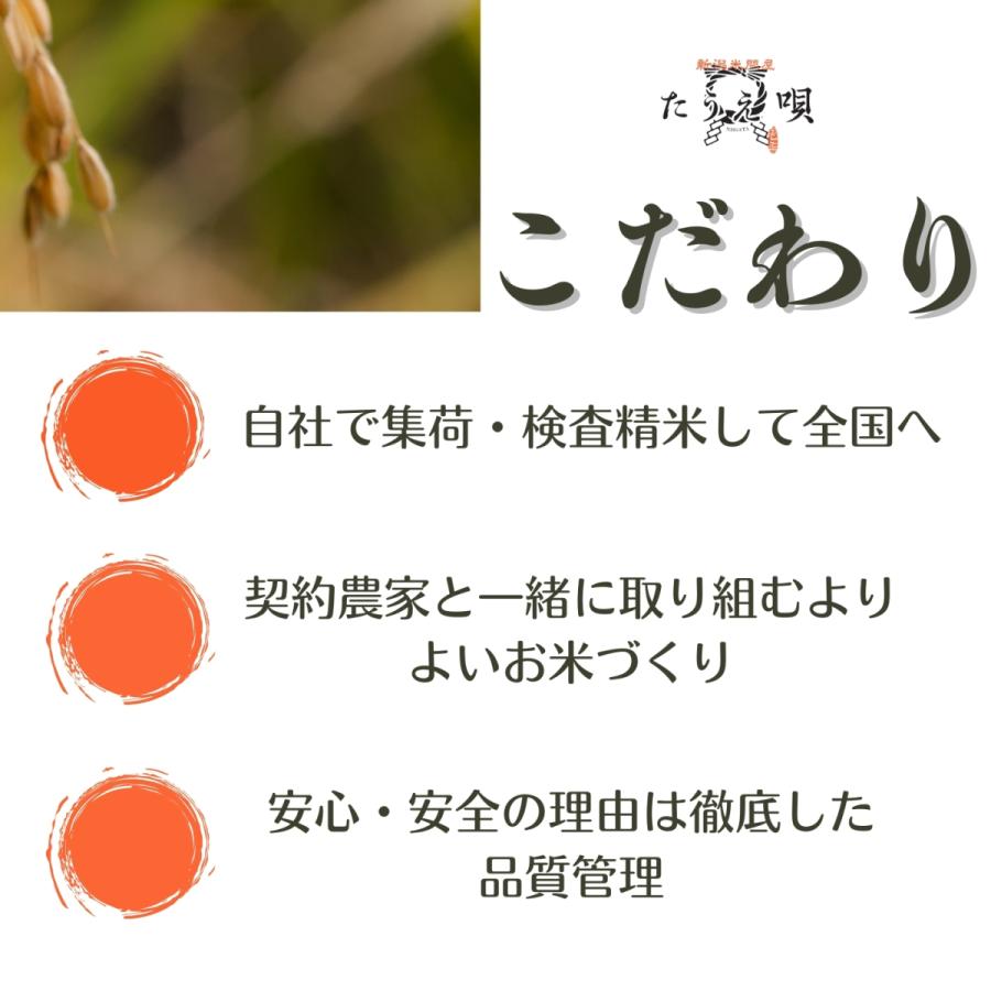 新米 令和5年 魚沼産こしひかり 10キロ 送料無料 令和５年産 期間限定 お米 米 ブランド米 新潟から産直販売 直送10kg