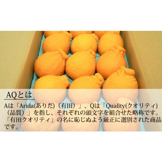 ふるさと納税 和歌山県 湯浅町 DN6012n_和歌山県産 AQ デコポン 5kg 秀品 (12〜24玉)