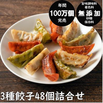 ふるさと納税 秋田市 年間100万個完売!餃子の餃天の