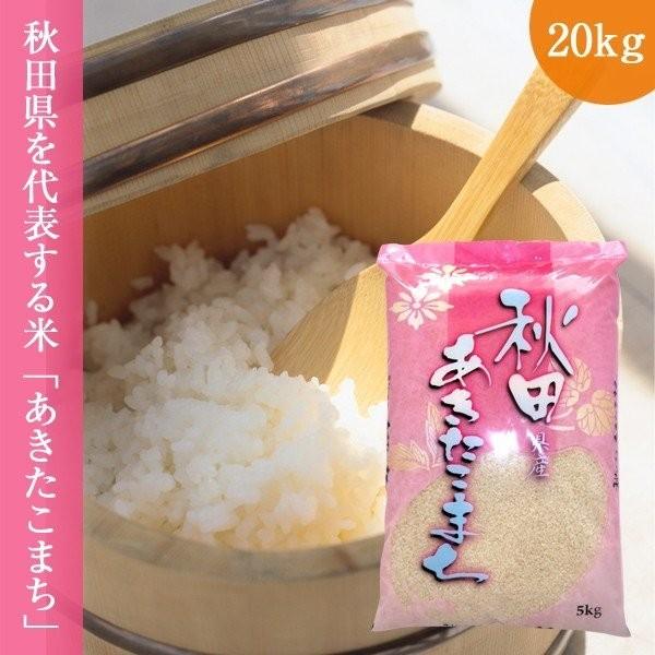 新米 秋田県産あきたこまち 20kg (5kg×4袋 令和5年産 お米 精白米