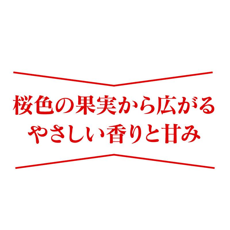 佐賀産 白いちご 淡雪 あわゆき 2パック ＜12月中旬より出荷予定＞  イチゴ 苺 果物 フルーツ 農家直送 産地直送 大嶌屋（おおしまや）