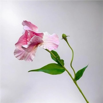 法式優雅女神單朵加大鳶尾花氣質粉仿真花花材(1入組)