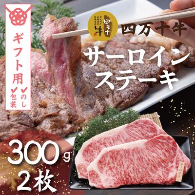 ふるさと納税 四万十市 四万十牛サーロインステーキ(300g×2枚) R5-981G