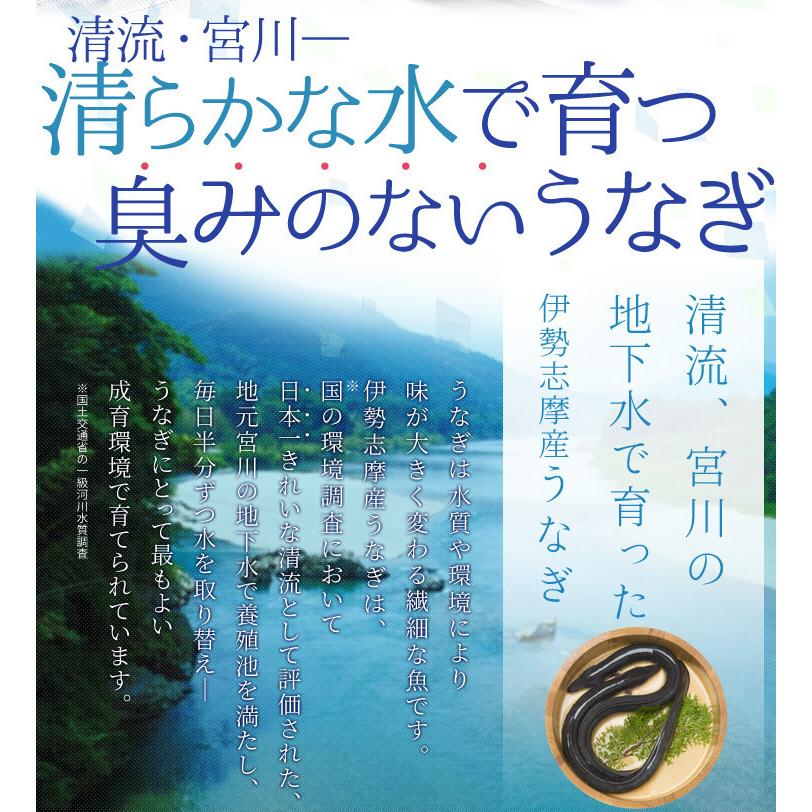 うなぎ 伊勢志摩産 白焼き 特大サイズ ２尾 送料無料 国産 ウナギ 鰻 蒲焼き 丑の日 個包装 冷凍 化粧箱入 お歳暮 ギフト