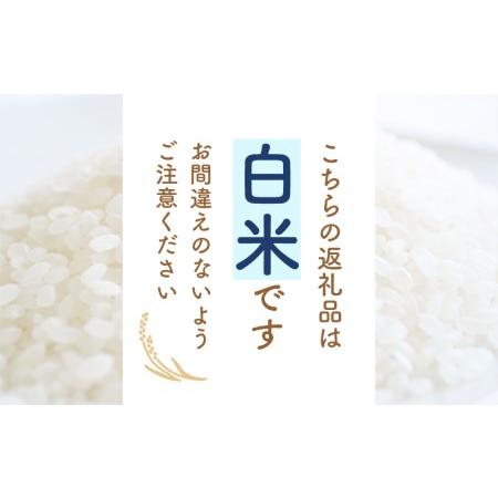 ふるさと納税 定期便≪3ヶ月連続お届け≫コシヒカリ 5kg × 3回 令和5年 福井県産 [e30-b006.. 福井県越前町