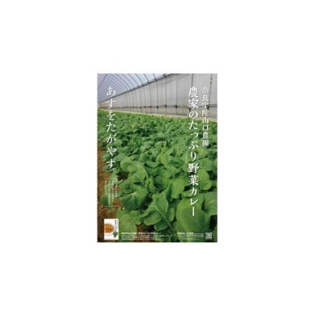 ふるさと納税 定期便 ３ヶ月 農家のたっぷり野菜カレー ３０個 月１回 ／ 山口農園 有機野菜 オーガニック 伝統野菜 レトルト カレー キャンプ .. 奈良県宇陀市