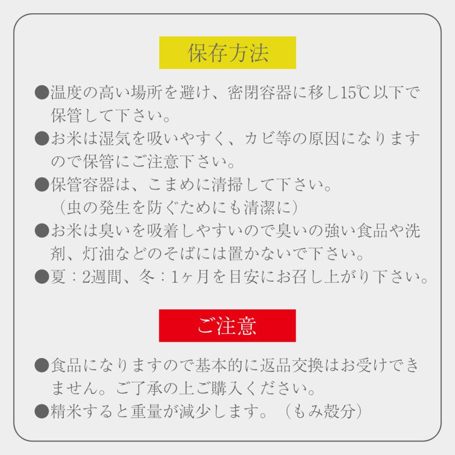 新米 コシヒカリ 1合 150g 令和5年 送料無料 ポイント消化 お試し お茶碗 2杯分 お米 白米 食品 1等級米  米 真空パック 農家直送 滋賀県 ポイント 産地直送